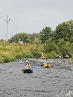 IMG_20240630_142510.jpg
